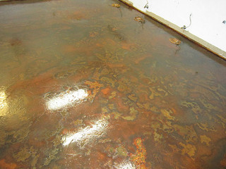 seal coatings - Iowa